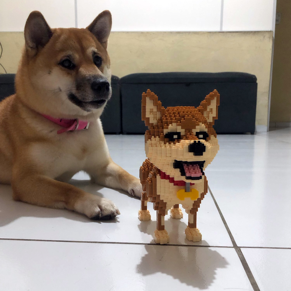 Jou construído shiba inu cães  - Kids Education And Recreation avaliação e preço